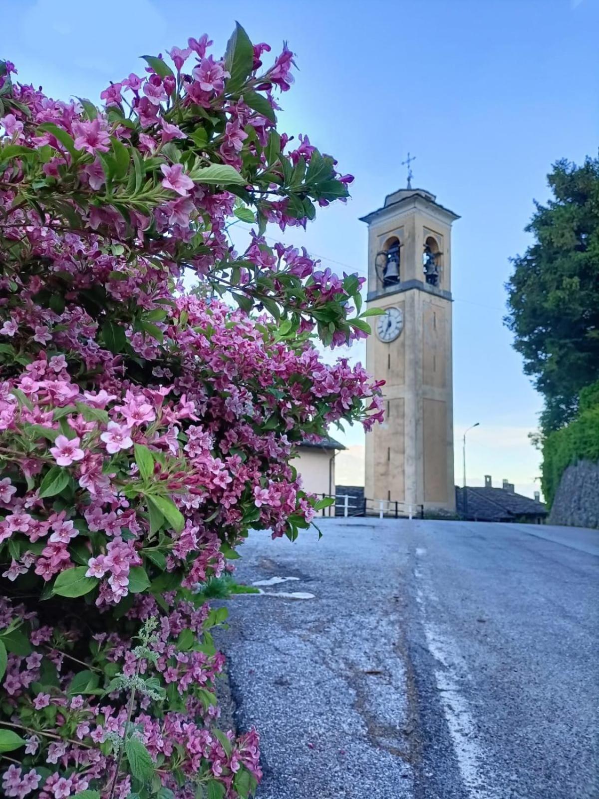 フォルコラ Beb Aria Di Montagna Bed & Breakfast エクステリア 写真